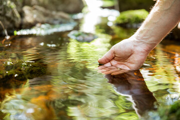 Man taking clear water from a stream in forest. Close-up hand. Nuuksio National Park, Finland....