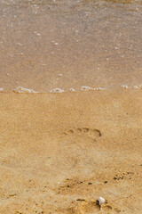 Footprint in the sand
