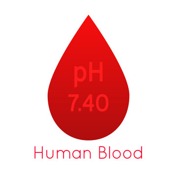 pH of a human blood vector icon