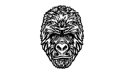 Mountain gorilla portrait