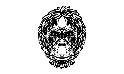 Sumatran orangutan - face