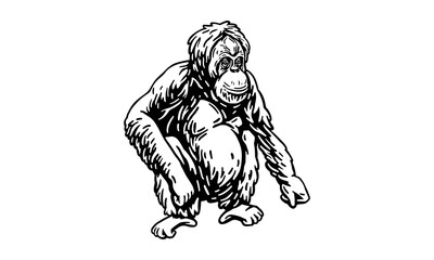 Sumatran orangutan © Janja