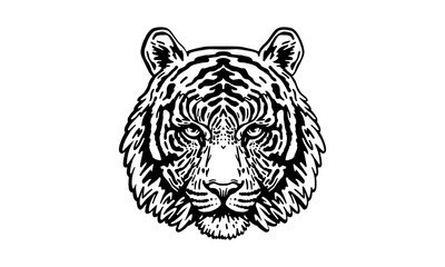 Sumatran tiger_face