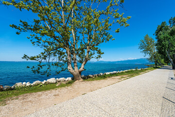 Bicycle and pedestrian lane on the coast of Lake Garda that connects the towns of Lazise, Cisano, Bardolino and Garda. Verona province, Veneto, Italy, Europe. On the horizon the coast of Lombardy.
