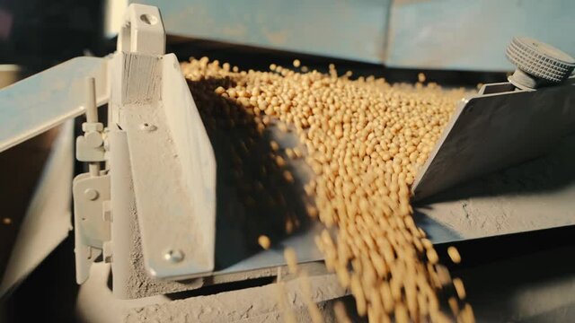 Industrial processing of soybeans. Cleaning for further storage of soybeans.