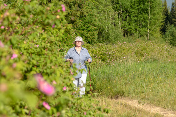 The grandmother is engaged in Scandinavian walking. An elderly woman goes in for sports.