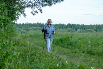 Naklejka na ściany i meble The grandmother is engaged in Scandinavian walking. An elderly woman goes in for sports.