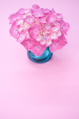pink hydrangea flower in water