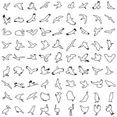 Set of lined birds silhoettes. Flying, sitting, swimming. Vector illustration.