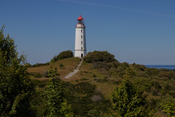 Fototapeta na wymiar Insel Hiddensee mit Leuchtturm am Dornbusch