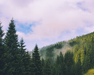 Misty mountain landscape