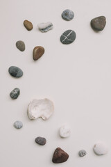 Fototapeta na wymiar Sea shells pattern on white background. Summer, Vacation on Sea, Travel concept. Flat lay, top view