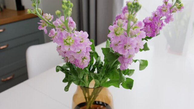 flora, decoration and nature concept - pink delphinium flowers in glass vase on table at home
