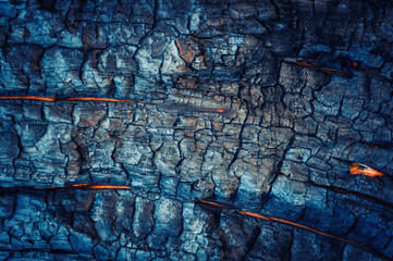 Abstract texture blurred blue background. Charred bark of a tree.