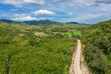Fototapeta premium Aerial view of mangrove forest and river on the Coron island, Philippines.