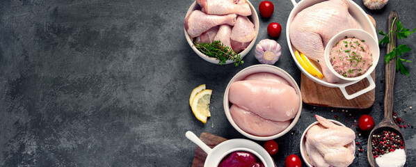 Raw chicken meat parts with spices and herbs for cooking on dark background.