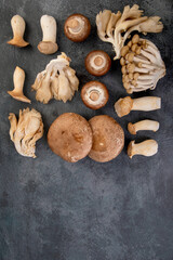 Mushrooms varieties on dark background. Delicious and nutritious ingredients for vegan food.