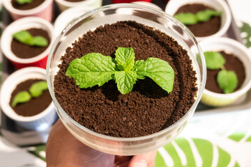 cupcake of chocolate