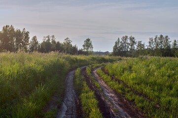 dirt road through a field