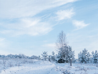 Snowy road at  winter Stone Hill park in frosty sunny evening. Winter country road with fir forest in the rays of cold winter Sun.