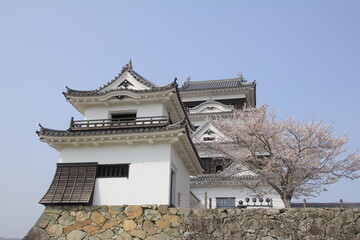 Fototapeta na wymiar 愛媛県　大洲城と桜