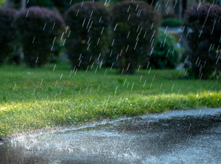 Rain in the summer park. Raindrops fall on the paved path.