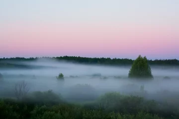 Foto op Canvas Early gloomy misty morning among meadows and forests. Selective focus. summer morning landscape in nature. © Ann Stryzhekin