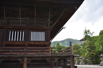 日本　長野　観光名所　善光寺　夏の風景