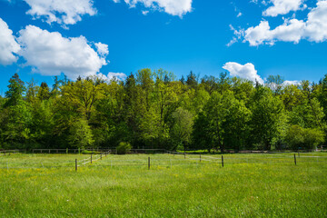Germany, Green nature landscape at edge of the forest with paddock and fence for horses in natural...