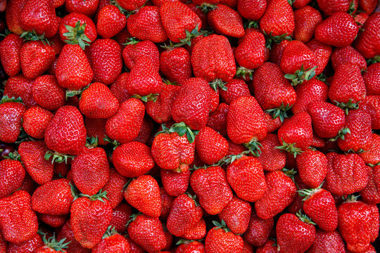 Ripe of strawberry. Fresh organic strawberries macro. Red strawberry background, top view, horizontal, vertical.