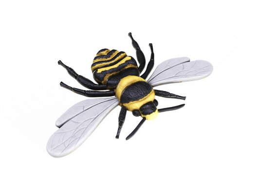 3D Rendered Apis Mellifera Honey Bee