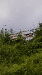 rain drops on the window