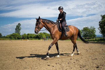 The girl with helmet in black riding a horse at a riding school.