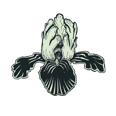 Handmade botanical drawing of iris flower black and white outline for cosmetics, decorative use