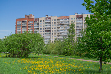 Green park with grass, trees, yellow flowering dandelions, walking path in front of a multi-storey building, Russia