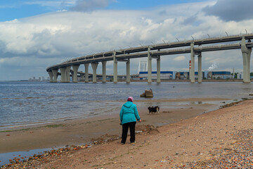 An elderly old woman, a grandmother plays with a dog on the seashore on the coast, rounded motorway highway bridge background with blue sky with clouds. Saint Petersburg