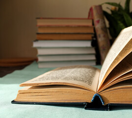 open book on desktop beige wall, blue tablecloth, potted flower, books