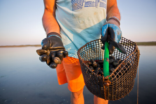 P&ecirc;cheur de palourde en bord de mer et son panier rempli de coquillages.