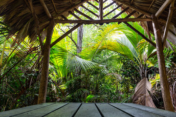 Wooden shelter with thatched roof made of palm leaves in tropical rainforest on Glacis Noire Nature Trail, Praslin Island, Seychelles.