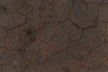 dry cracked earth top view