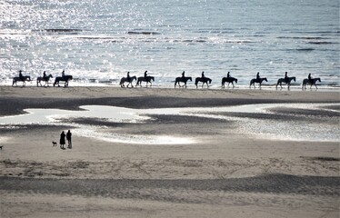 Balade à cheval au bord de l'eau à marée basse plage du Touquet printemps 2021