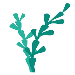 Fototapeta na wymiar Seaweed two shades green silhouette logo, icon