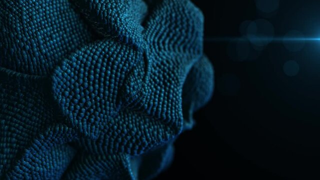 abstract living sphere that reacts to an external stimulus