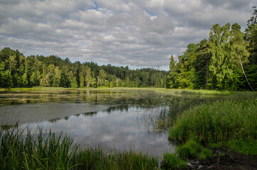 Fototapeta na wymiar Kazdanga village mill lake in sunny summer day, Latvia.