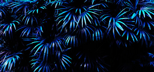 tropical leaf forest glow in the dark background.