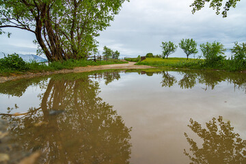 Rural scene mirrored in water on the road