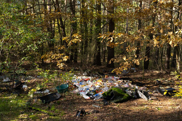 Pollution in forest