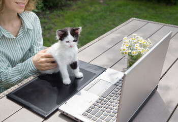 cute white - black kitten stands on the table on laptop keyboard in garden. Playful curious domestic cat. online work at home, distance learning. Digital technologies. woman and animal. Focus on pet