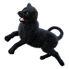 3D Rendering Black Panther on White