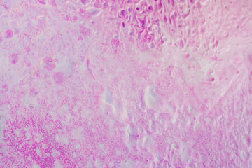 Pink and white background texture of soap foam, blur